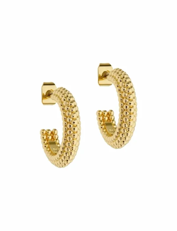 Dotetta Dotted Texture Hoop Earrings<Ted Baker Outlet