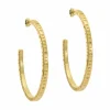 Loa Logo Hoop Earrings<Ted Baker Clearance