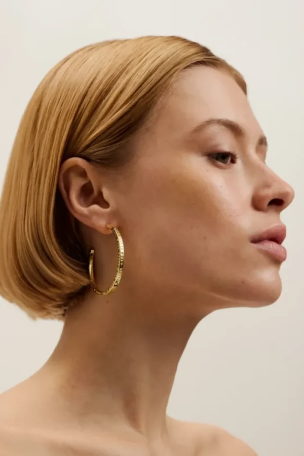 Loa Logo Hoop Earrings<Ted Baker Clearance